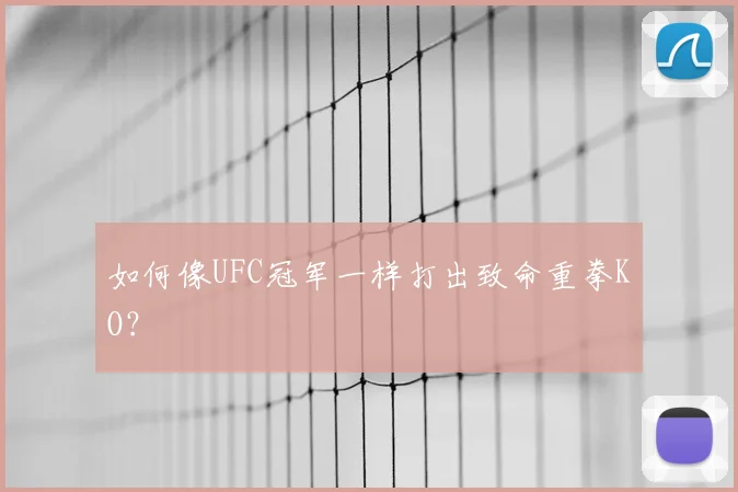 如何像UFC冠军一样打出致命重拳KO？