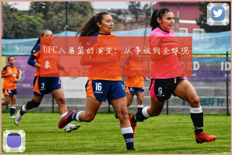 UFC八角笼的演变：从争议到全球现象