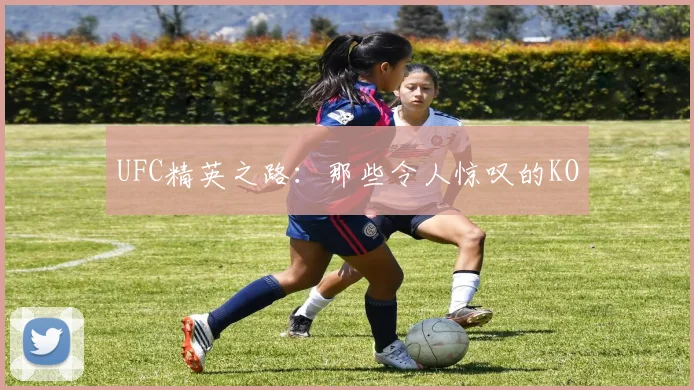 UFC精英之路:那些令人惊叹的KO