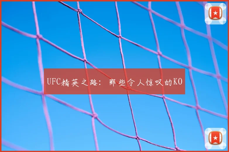 UFC精英之路：那些令人惊叹的KO