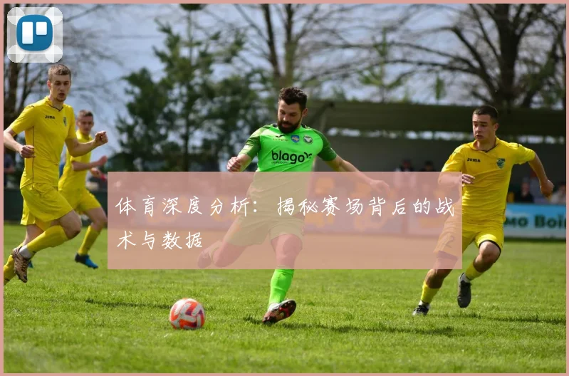 体育深度分析：揭秘赛场背后的战术与数据