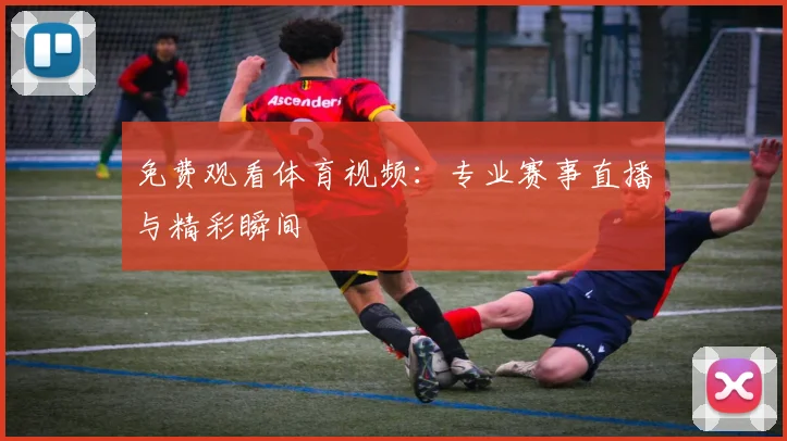 免费观看体育视频：专业赛事直播与精彩瞬间